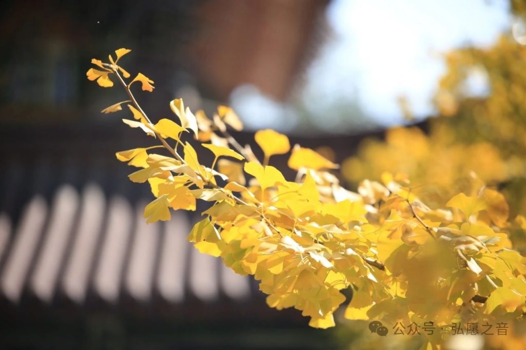 心生欢喜 笑对生活 大肚能容