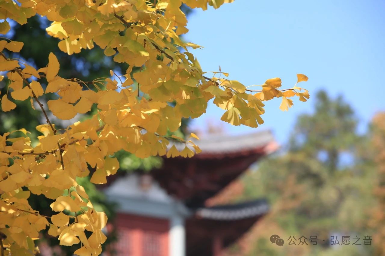 心生欢喜 笑对生活 大肚能容