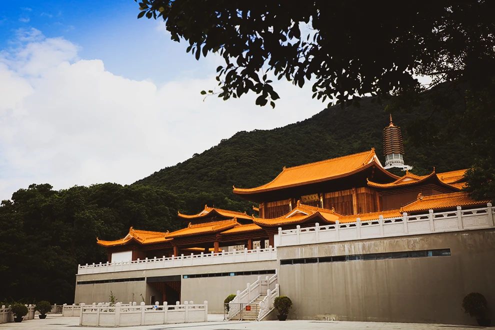 不与妄想较劲：生活本该有的松弛感