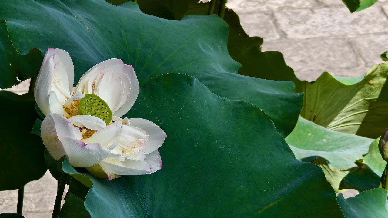 解决烦恼的小方法