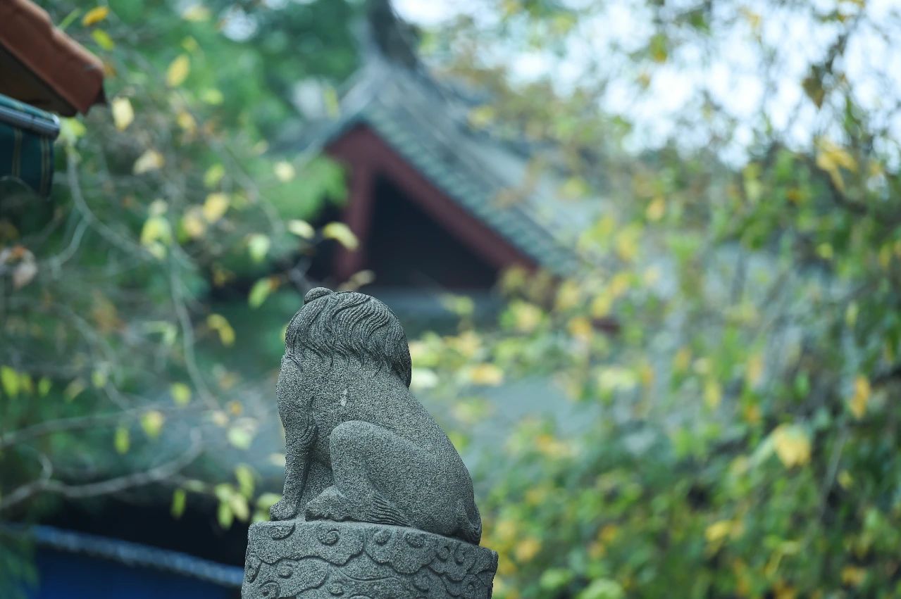 平安符丢了、手串线断了，该怎么办？