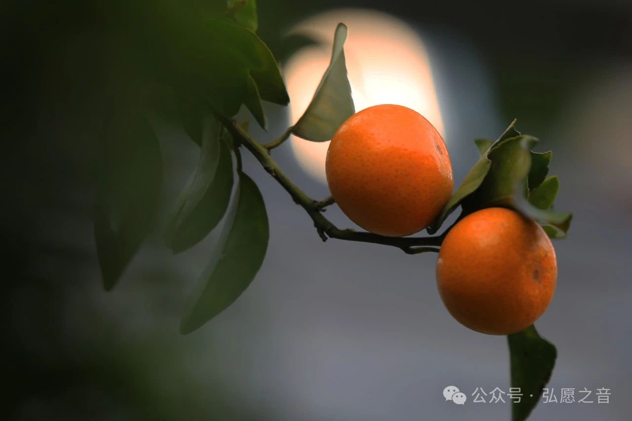 拜佛就是拜最好的自己