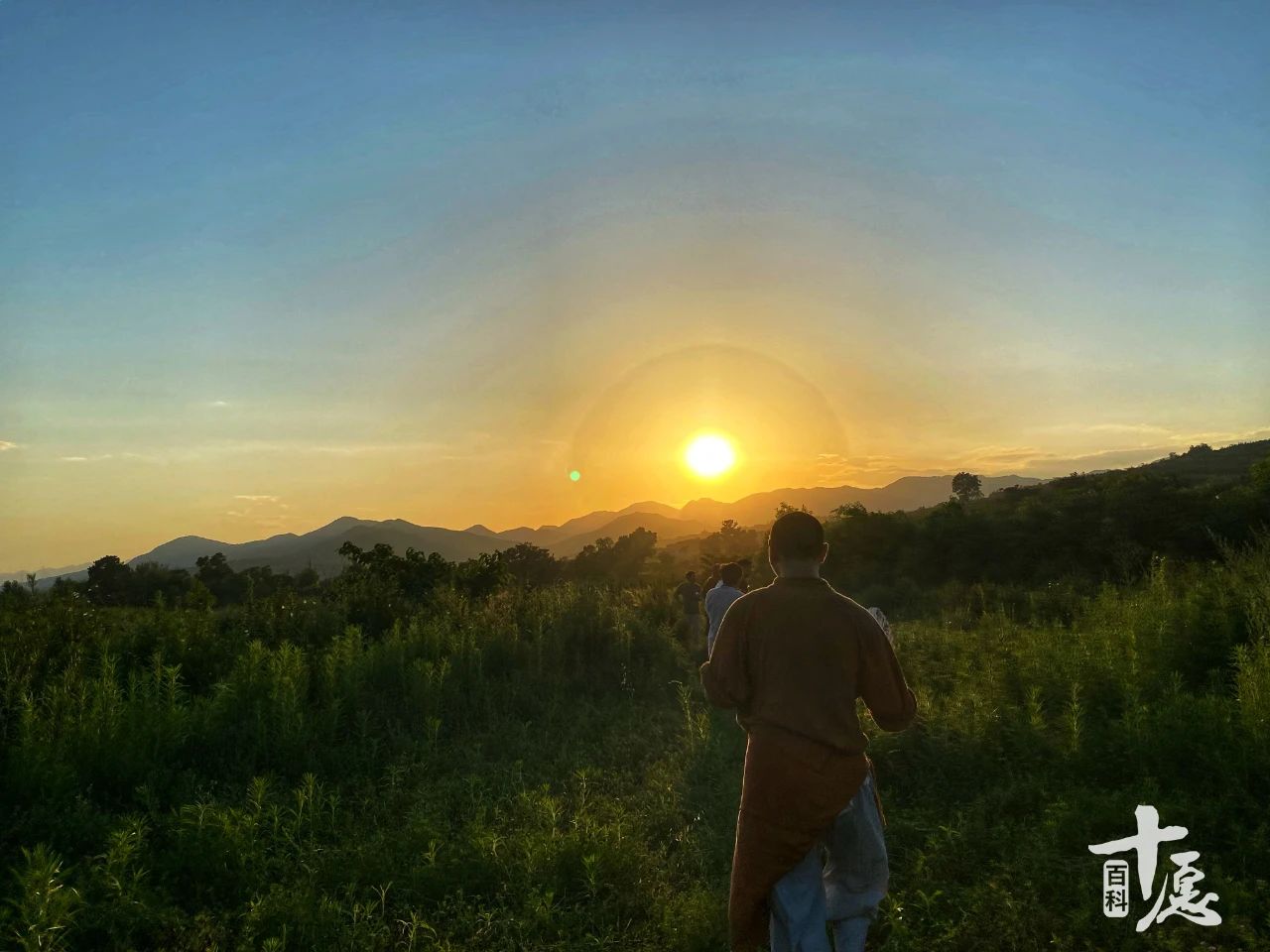 静波法师：不怕坏人猖狂，只怕好人沉默