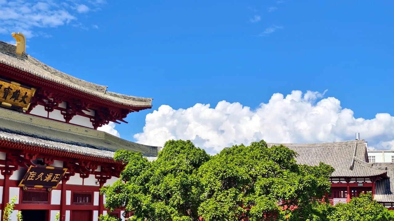 没有完全快乐的人，只有比较想得开的人