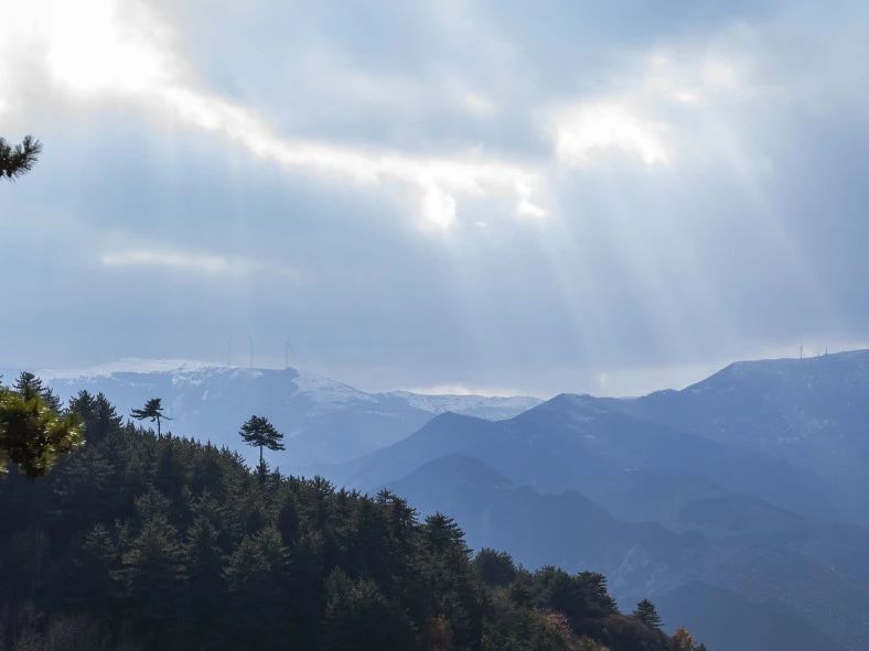 对境考验面前，如何善护其心？