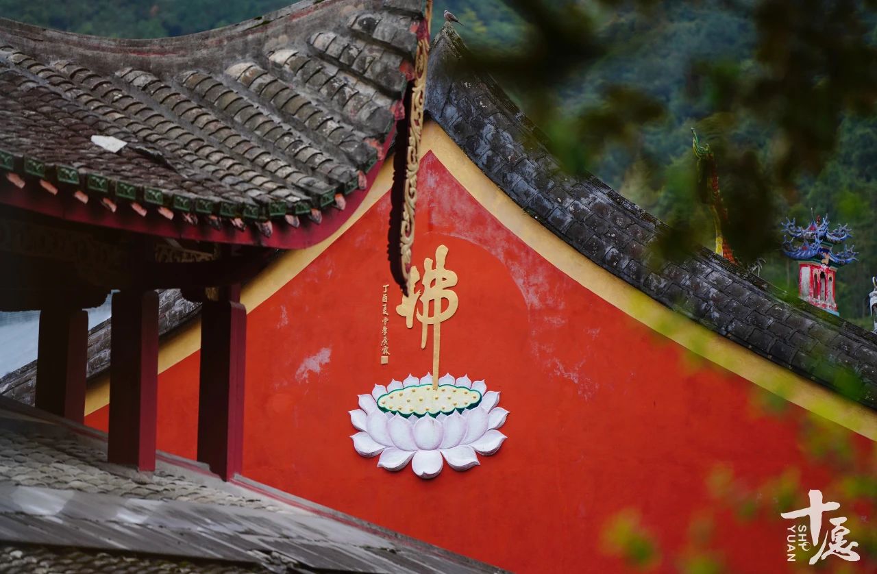 圣严法师：45岁我还在庙里打杂，也曾流落纽约街头，那又如何