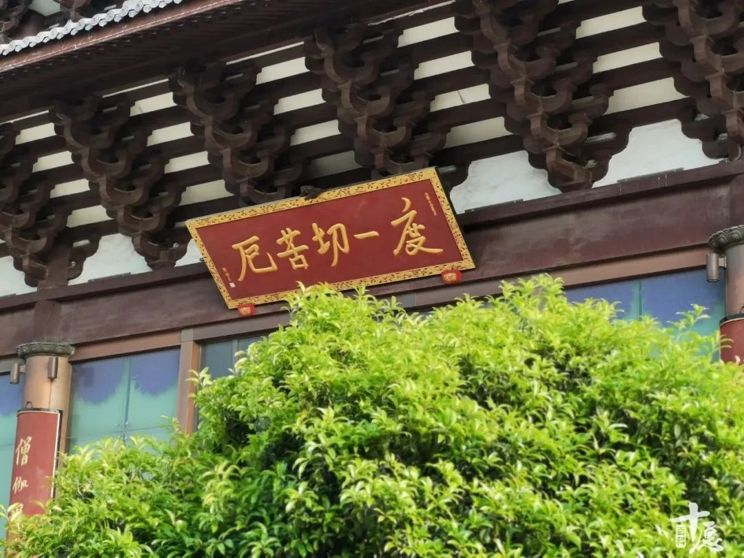 圣严法师：45岁我还在庙里打杂，也曾流落纽约街头，那又如何