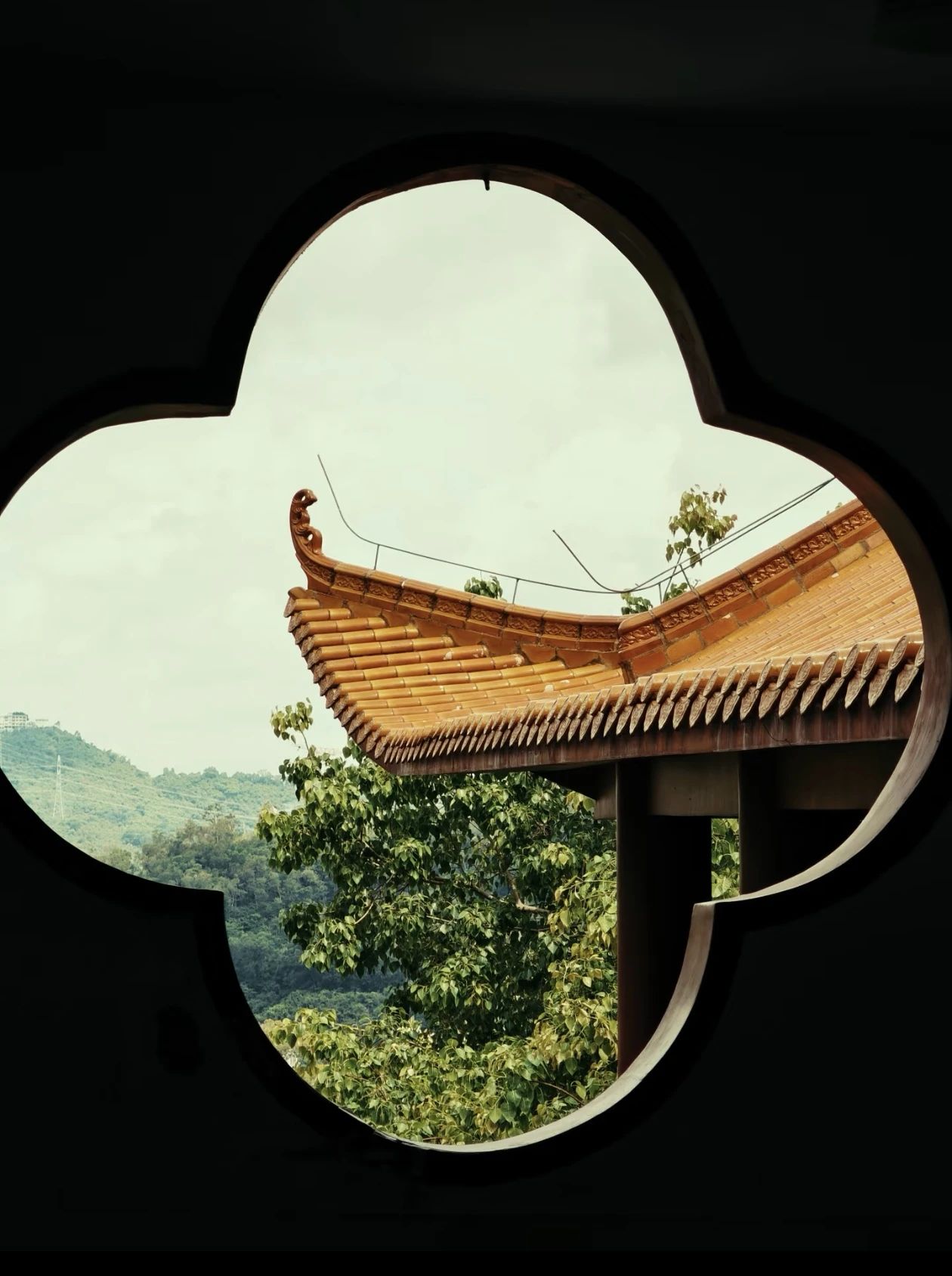 在生活道场里，修出心灵的 “灵”