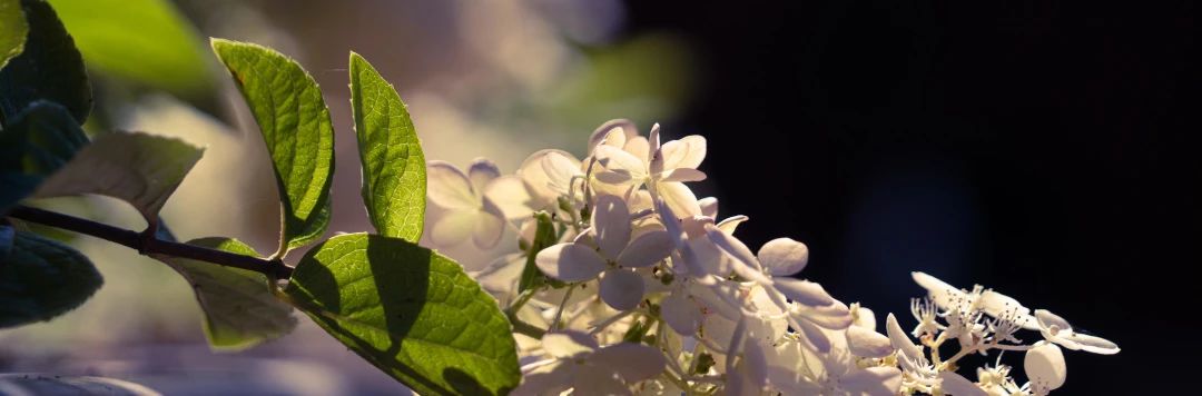 不论走出有多远，都不能忘记来时的路