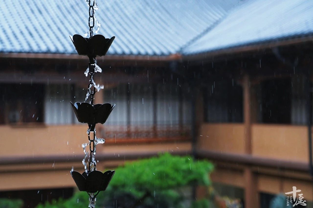 妙莲老和尚当头警策：莫把道场当避风港，大众眼下偷不得懒，韦驮菩萨的香板可比人眼更厉！