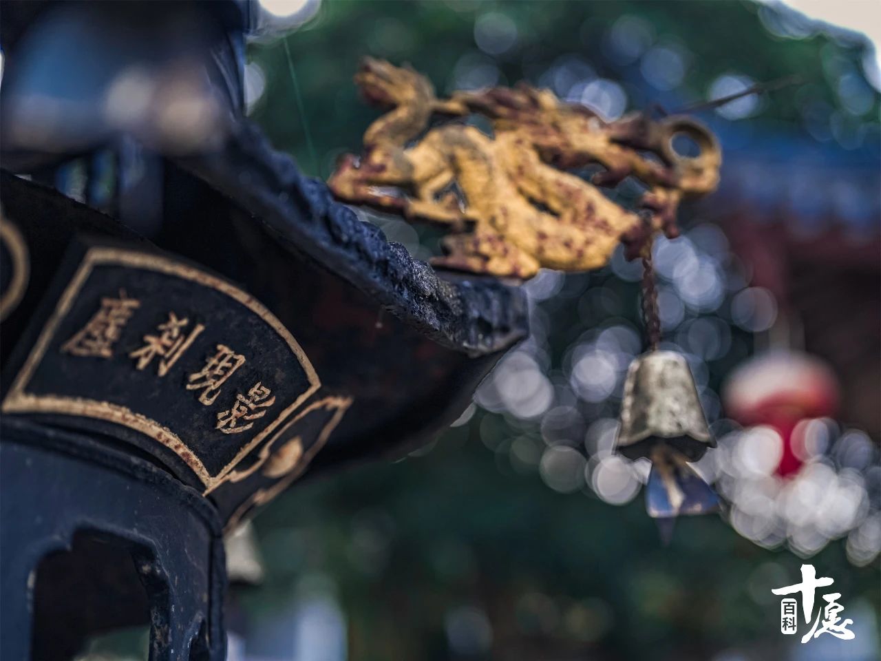 妙莲老和尚当头警策：莫把道场当避风港，大众眼下偷不得懒，韦驮菩萨的香板可比人眼更厉！