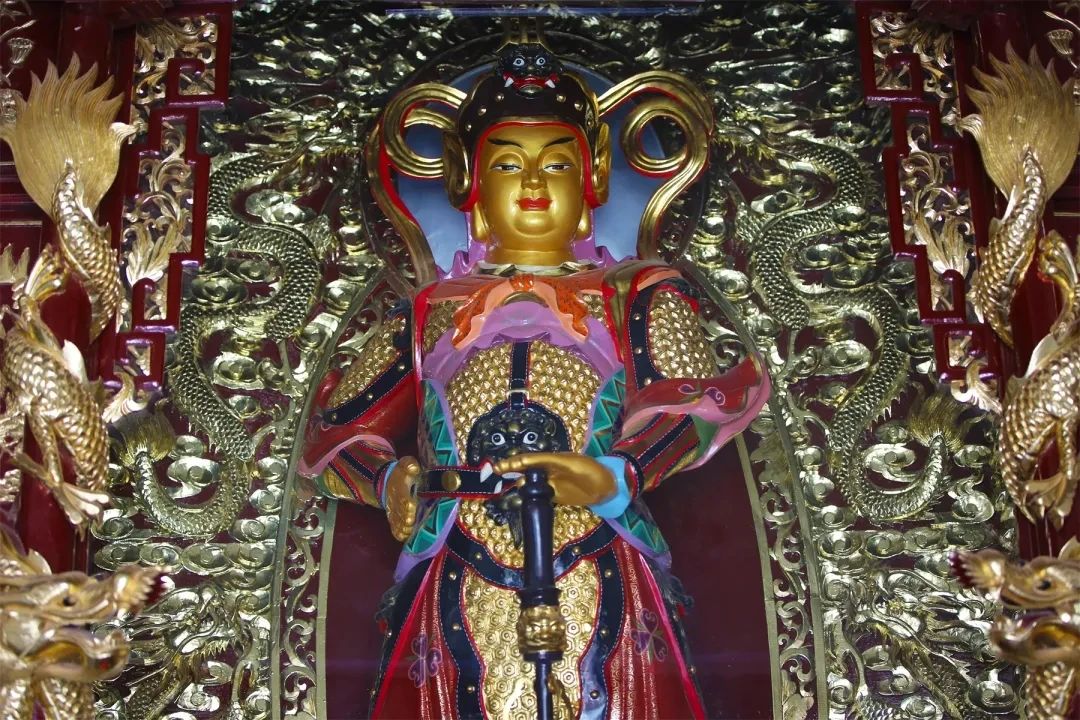 妙莲老和尚当头警策：莫把道场当避风港，大众眼下偷不得懒，韦驮菩萨的香板可比人眼更厉！