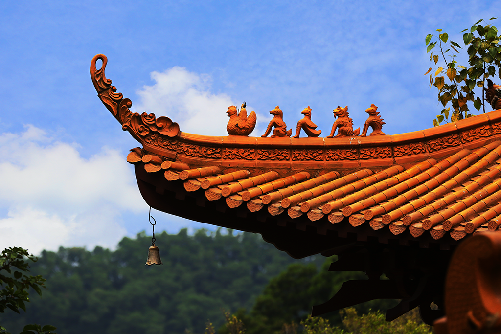 精进修行，慎勿空过