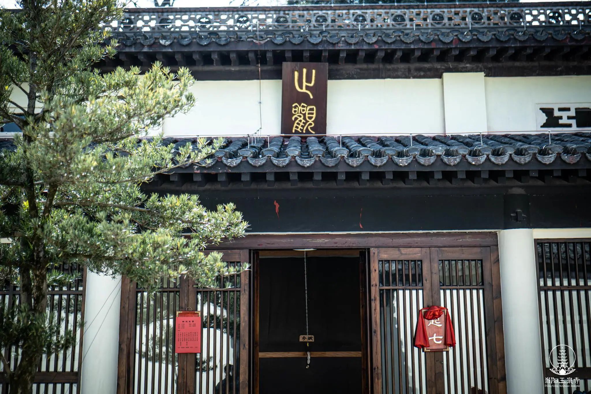 【戒律问答】我们真正要修行 一定要从戒律开始