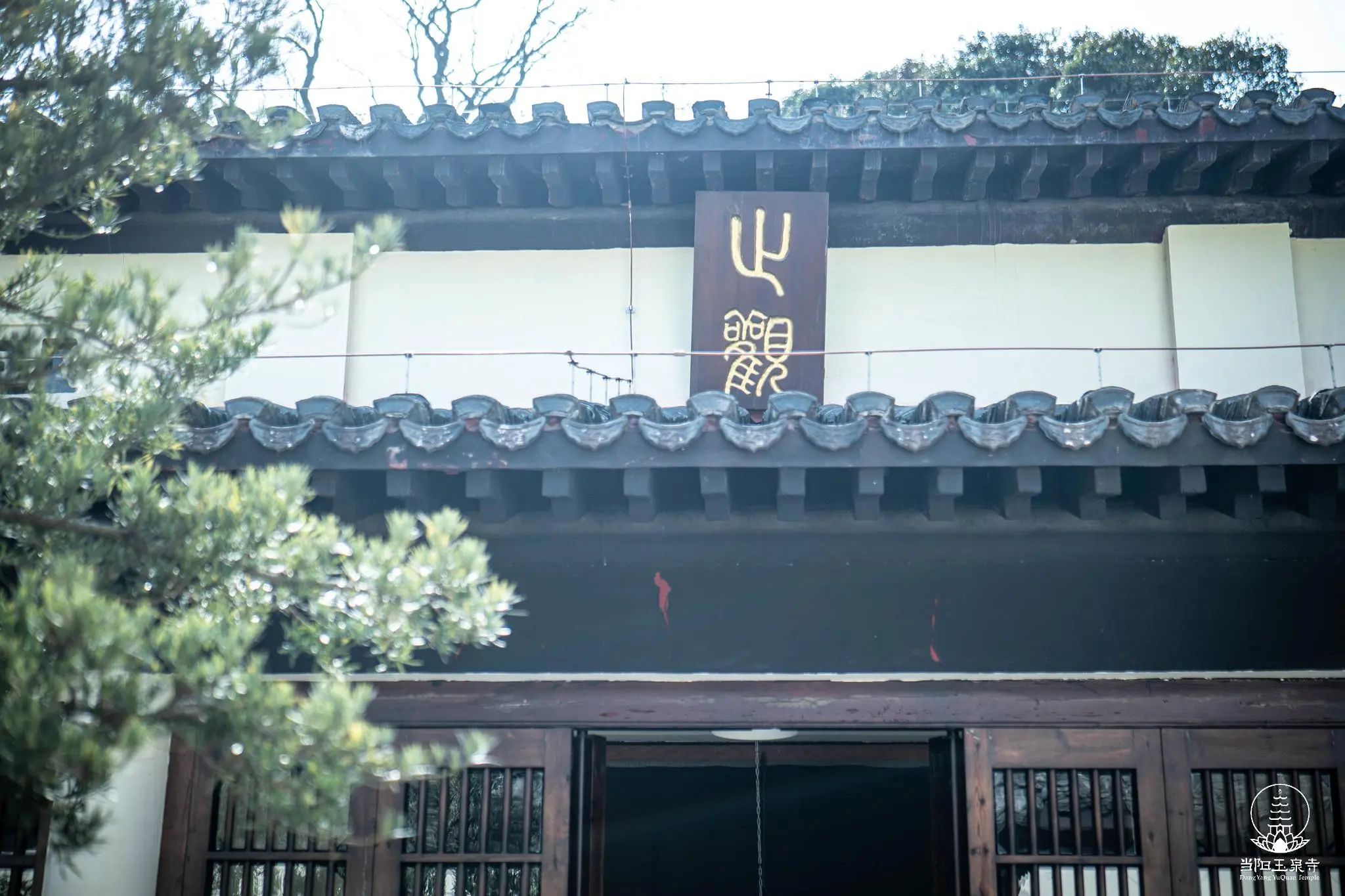 【戒律问答】我们真正要修行 一定要从戒律开始