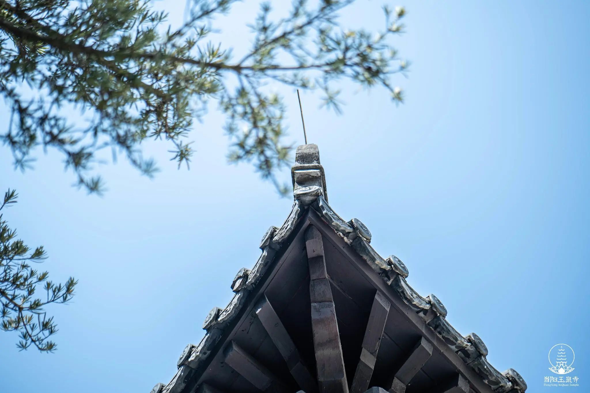 【戒律问答】我们真正要修行 一定要从戒律开始