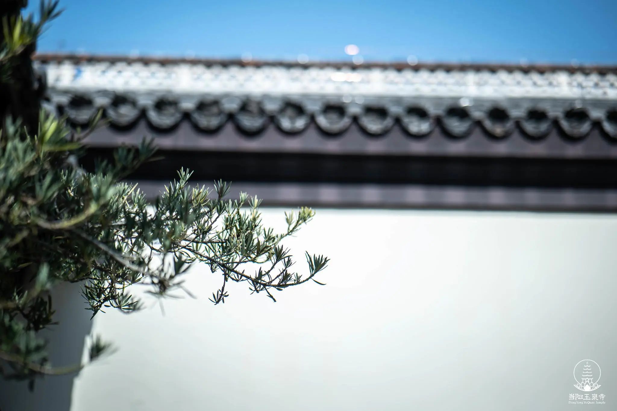 【戒律问答】我们真正要修行 一定要从戒律开始