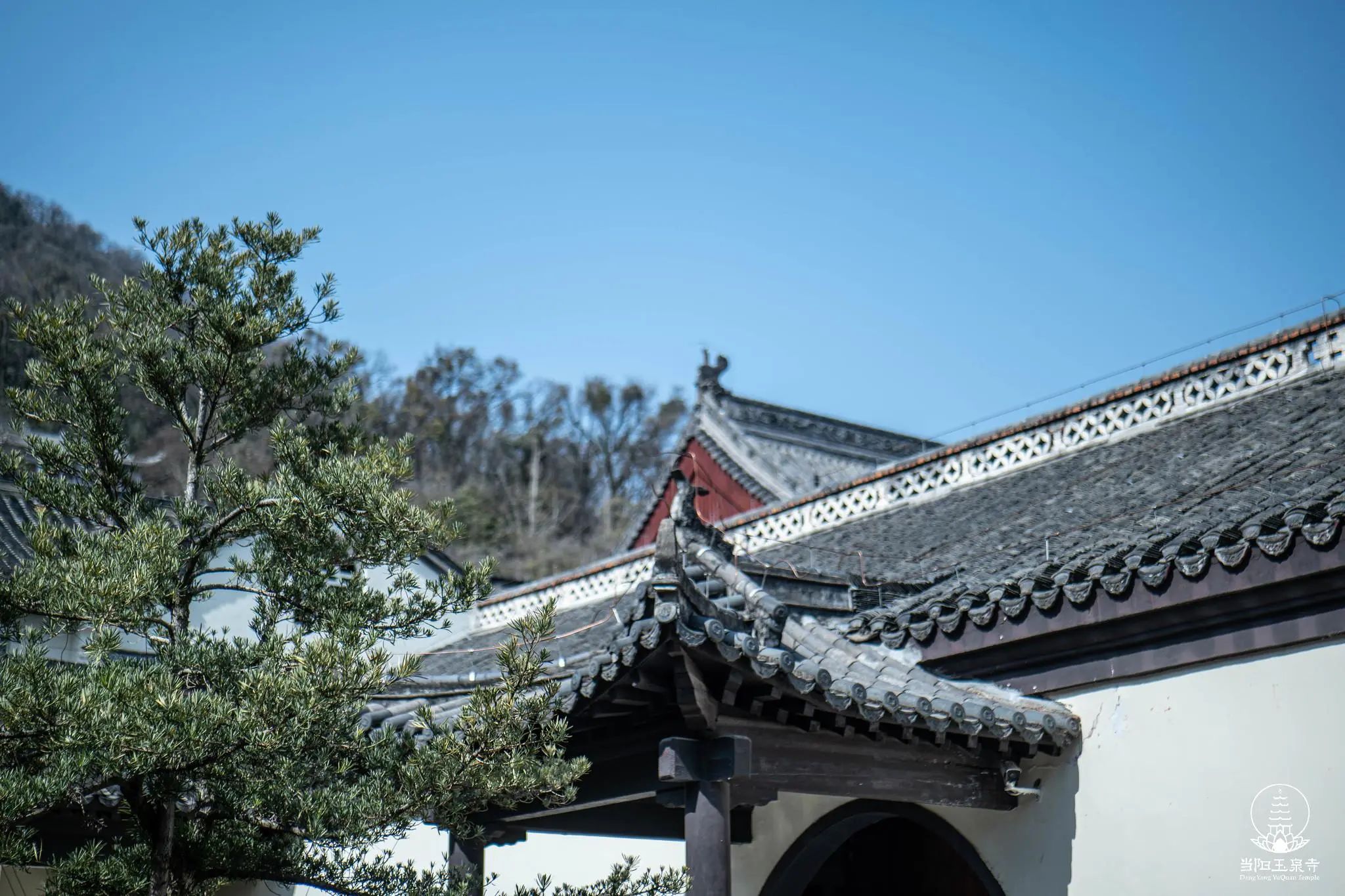 【戒律问答】我们真正要修行 一定要从戒律开始