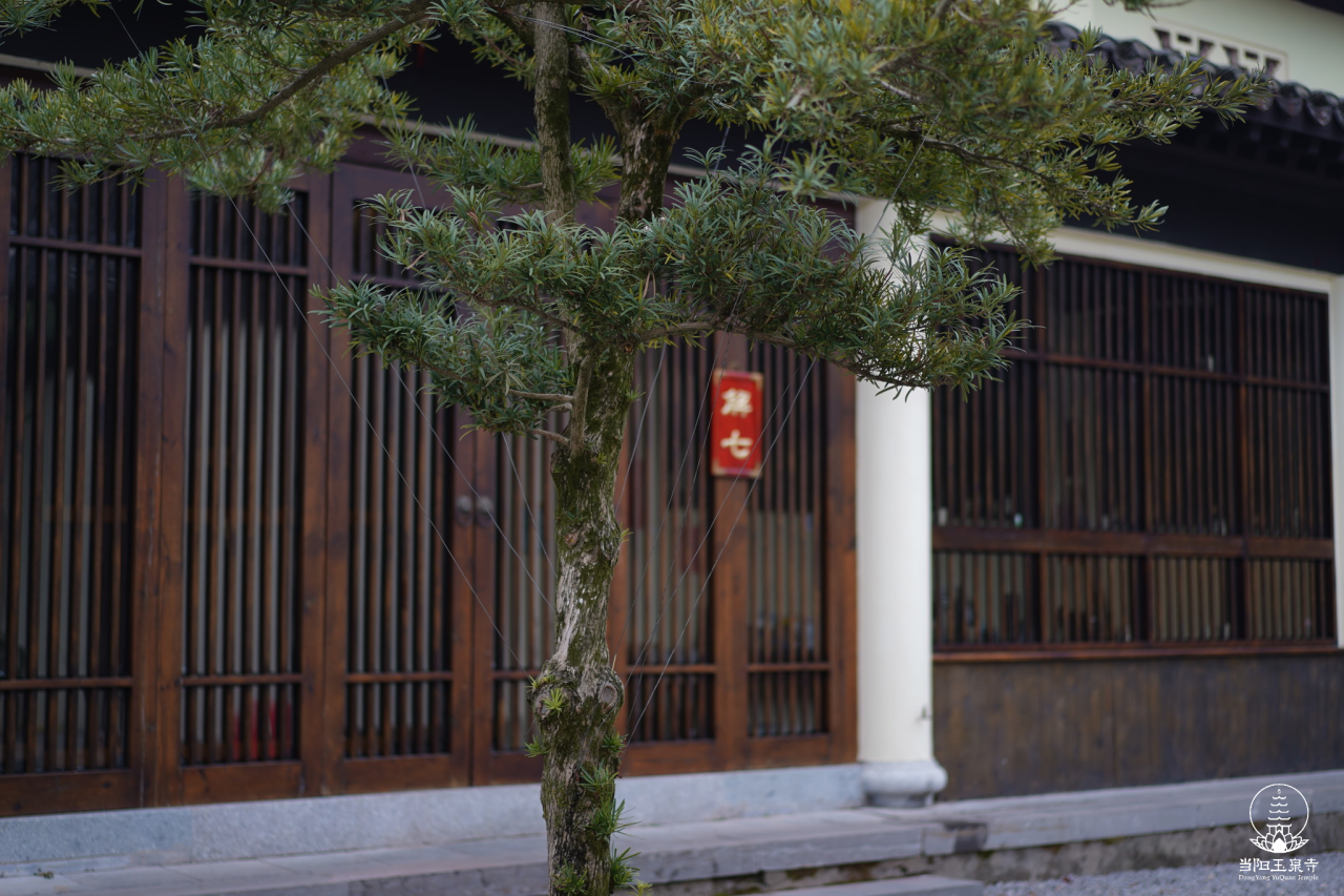 【戒律问答】我们真正要修行 一定要从戒律开始