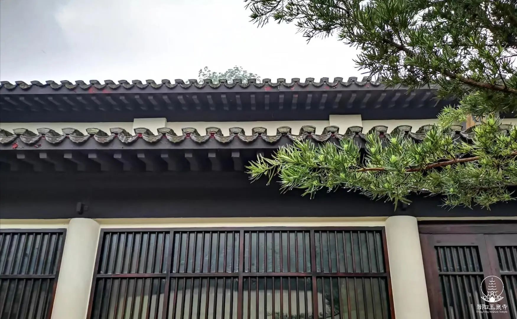 【戒律问答】我们真正要修行 一定要从戒律开始