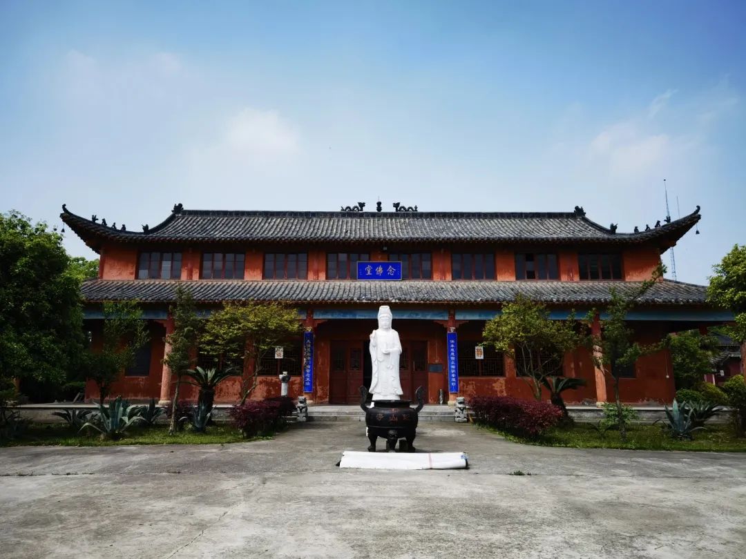 “医僧”释净心自述：半生跋涉，从名利双收的医者到遁入空门的和尚