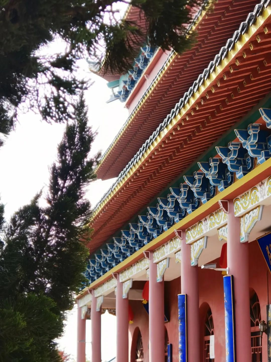 “医僧”释净心自述：半生跋涉，从名利双收的医者到遁入空门的和尚