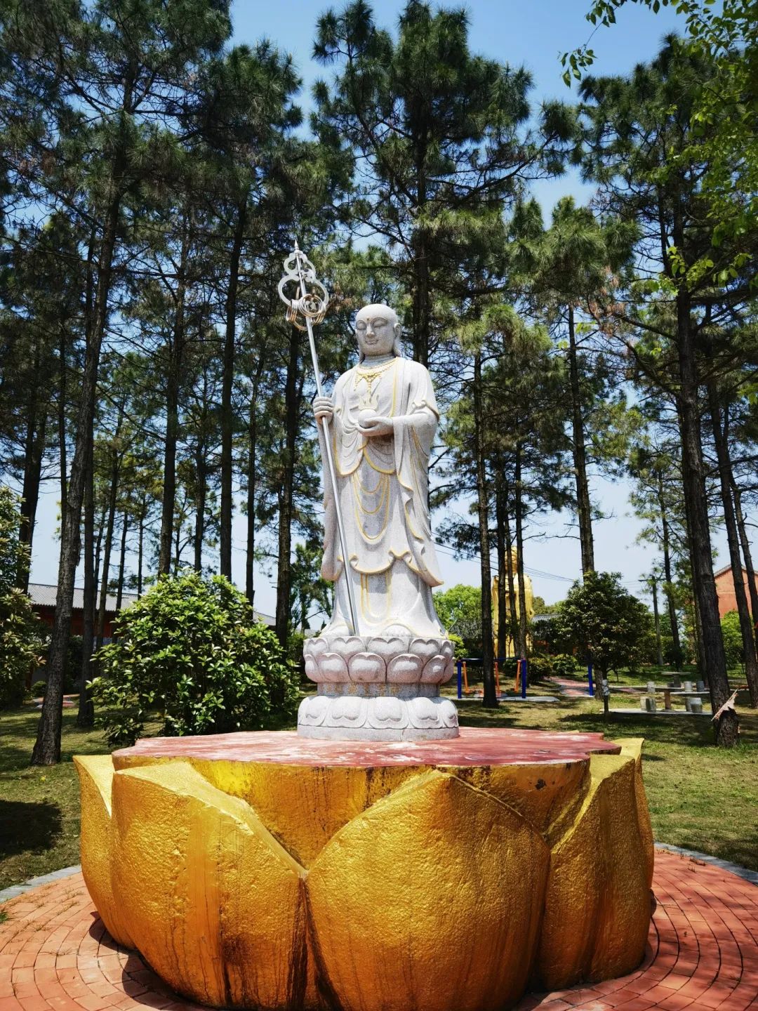 “医僧”释净心自述：半生跋涉，从名利双收的医者到遁入空门的和尚