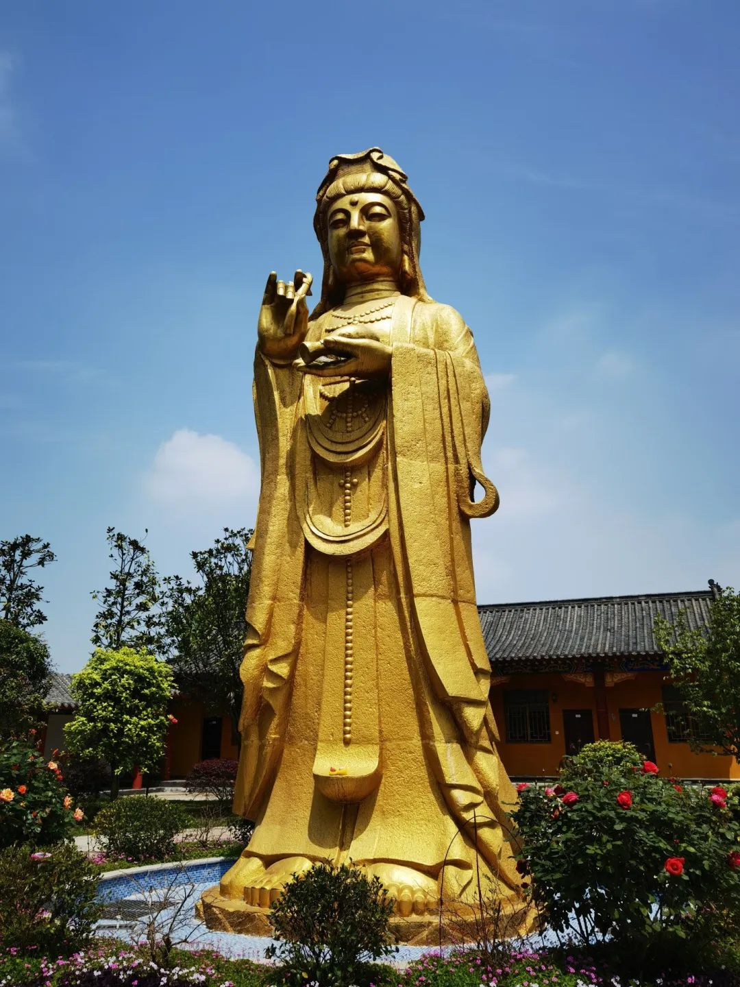 “医僧”释净心自述：半生跋涉，从名利双收的医者到遁入空门的和尚