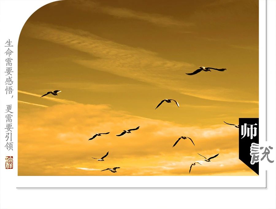 济群法师：最后那个……才是