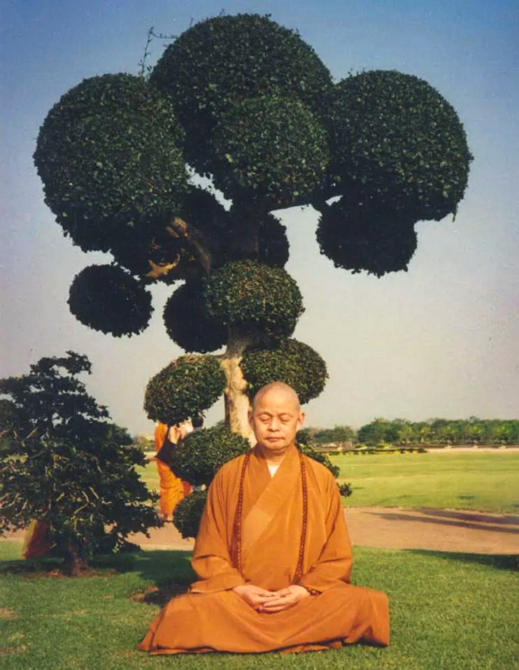 净慧长老：观心的下手功夫