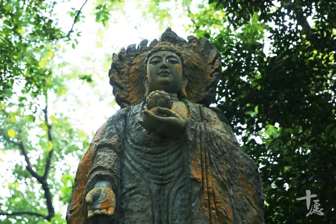 传印长老：时代处末法，心中有正法