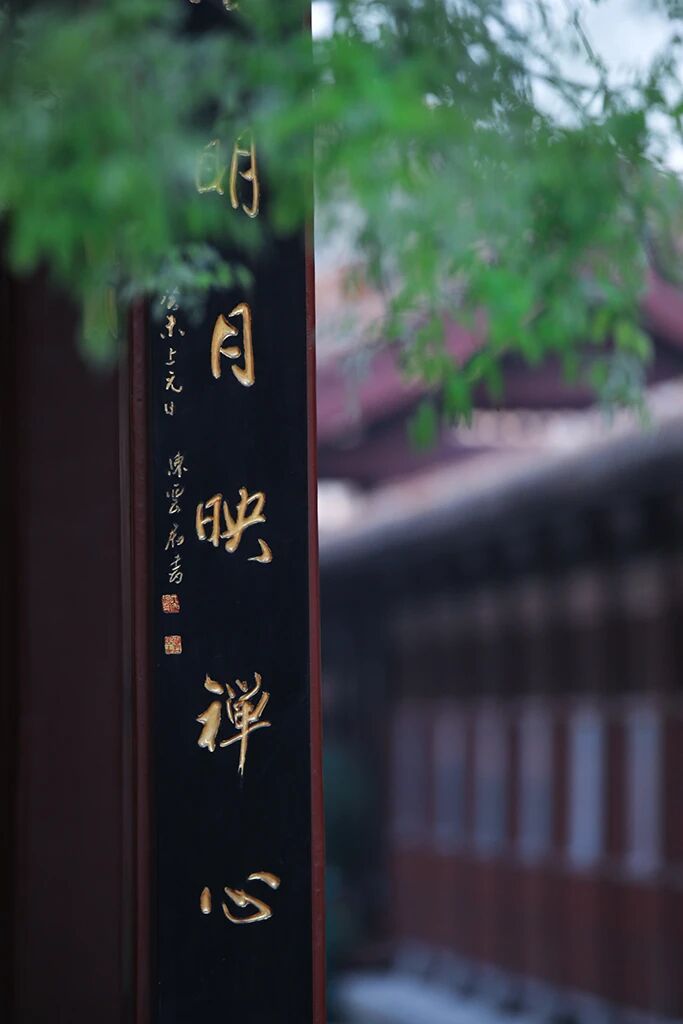 净慧长老：虚空生命