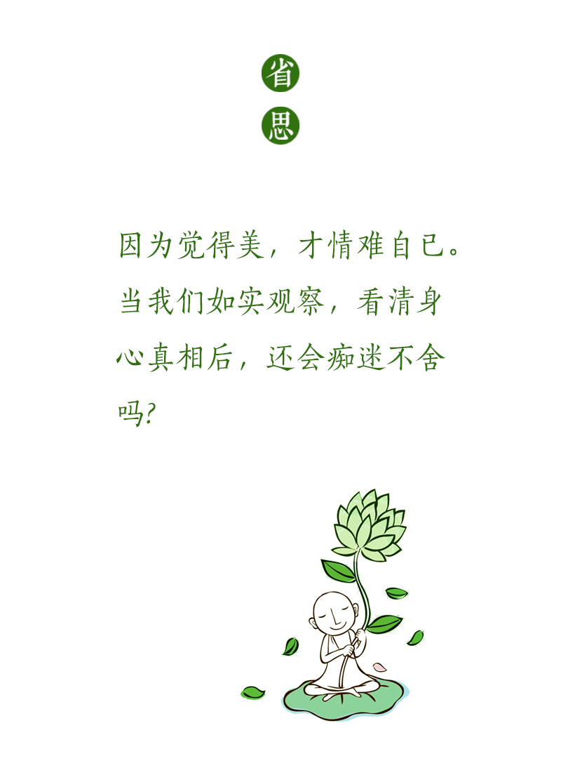 济群法师：哪个瞬间，你突然读懂了爱？