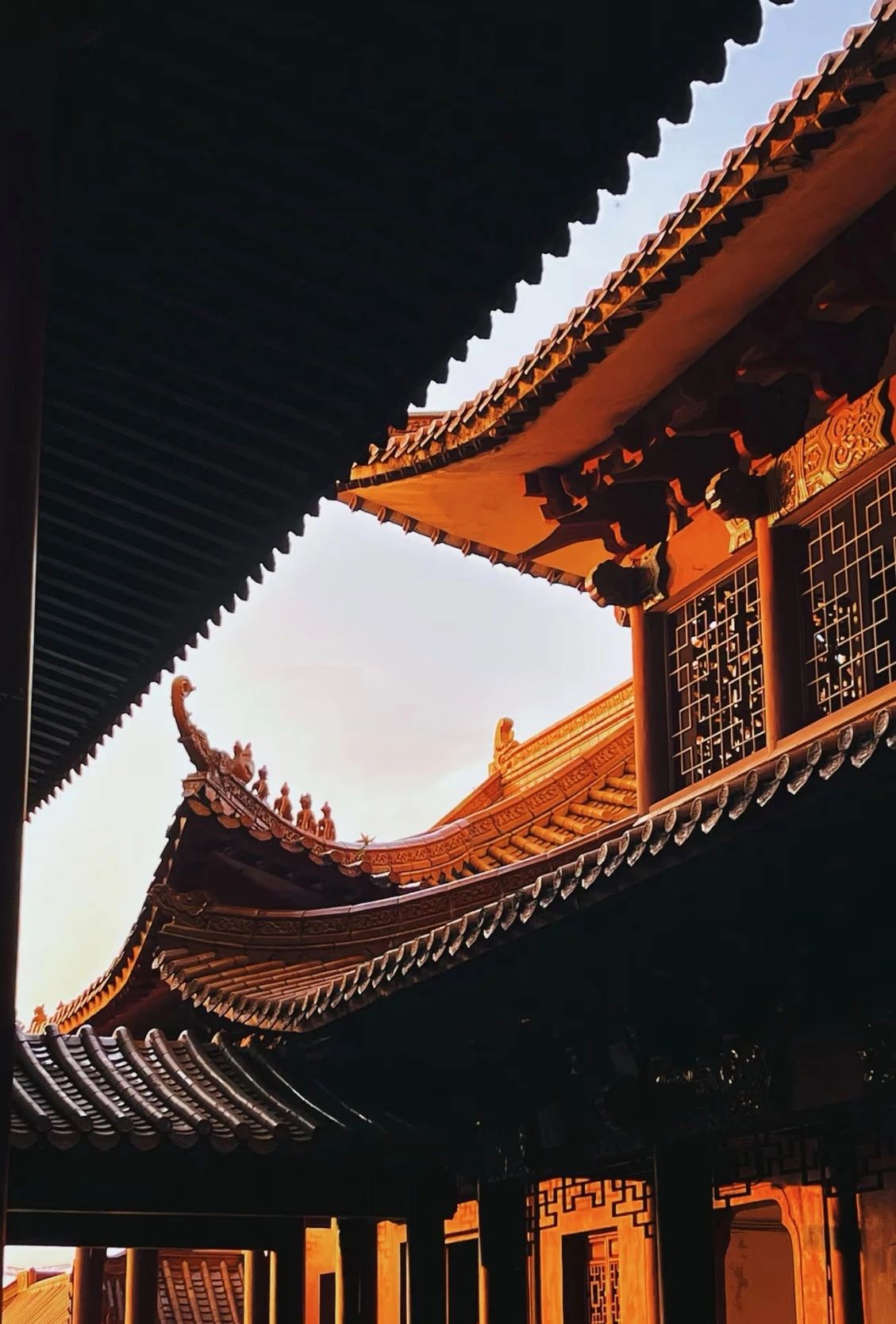 福田在心，福报自来