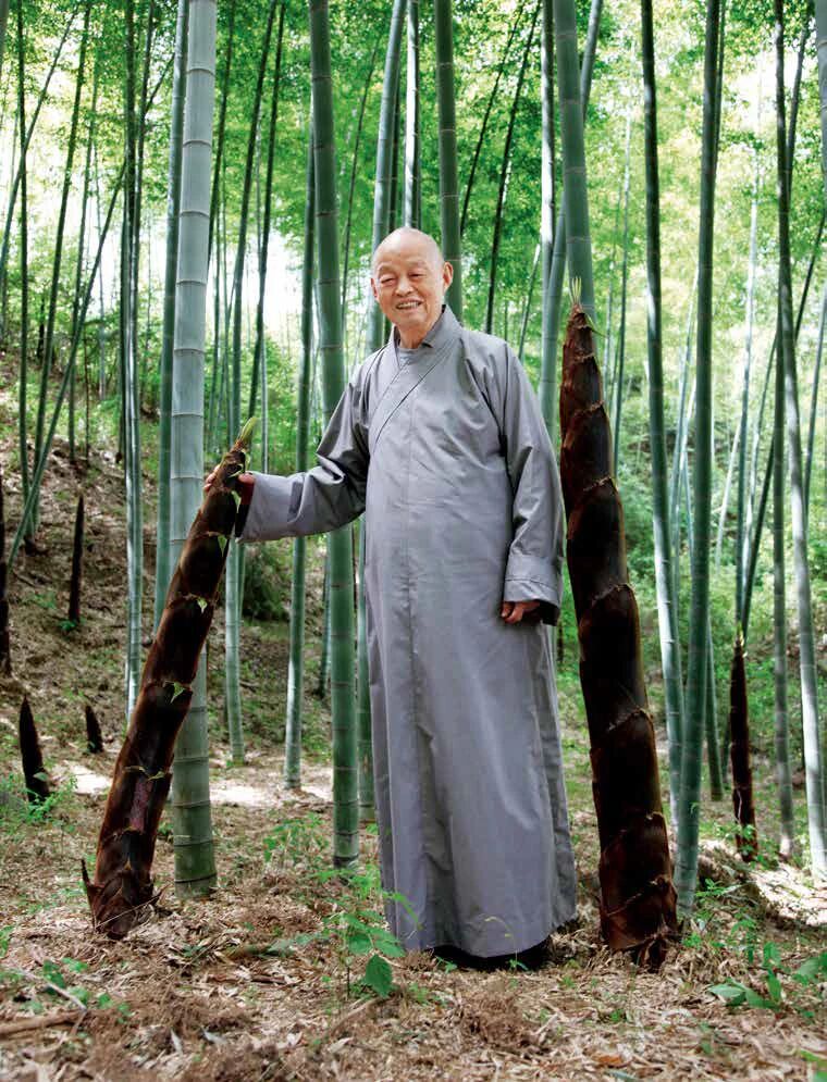 净慧长老：禅是生命的自在解脱