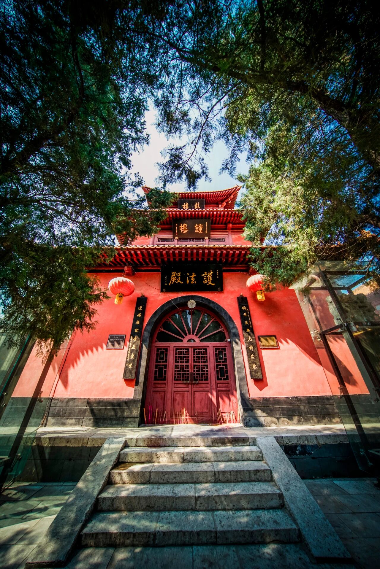 净慧长老：禅是生命的自在解脱