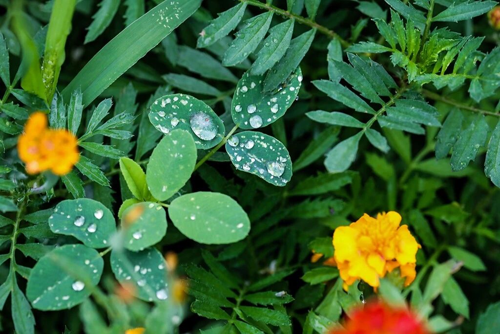 净慧长老：佛法与报恩