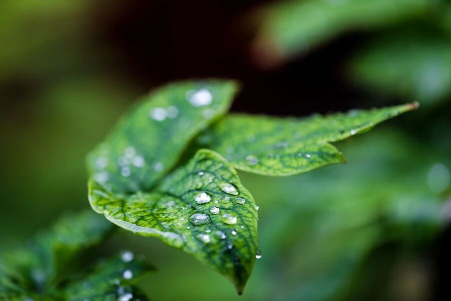 净慧长老：佛法与报恩