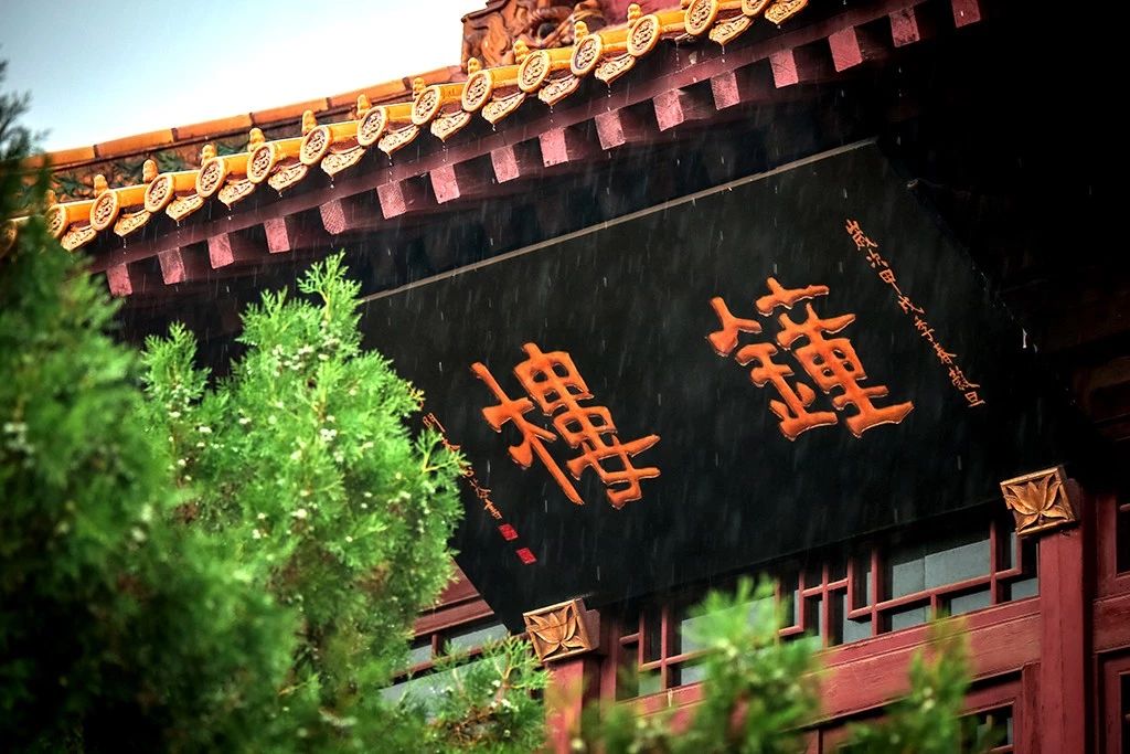 净慧长老：将禅融入生活的点点滴滴