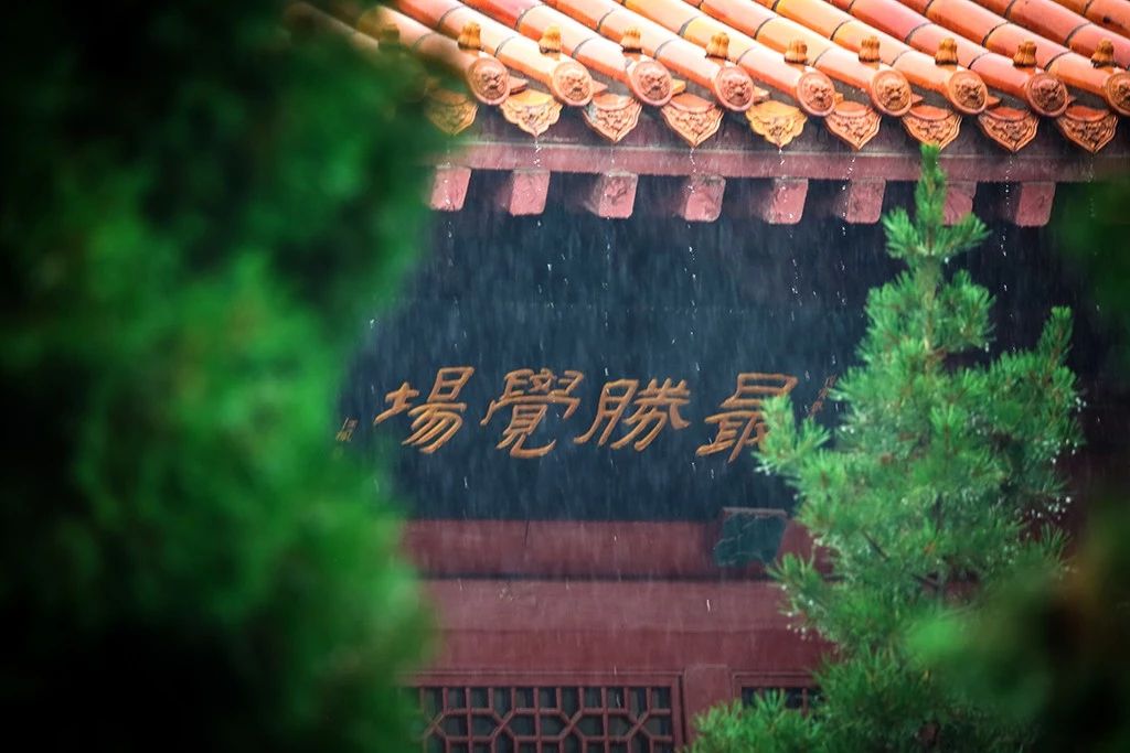 净慧长老：将禅融入生活的点点滴滴