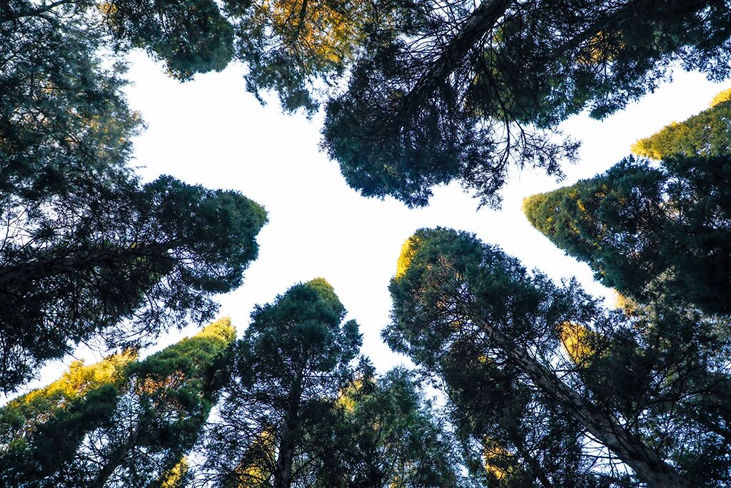 净慧长老：当代僧伽的职志