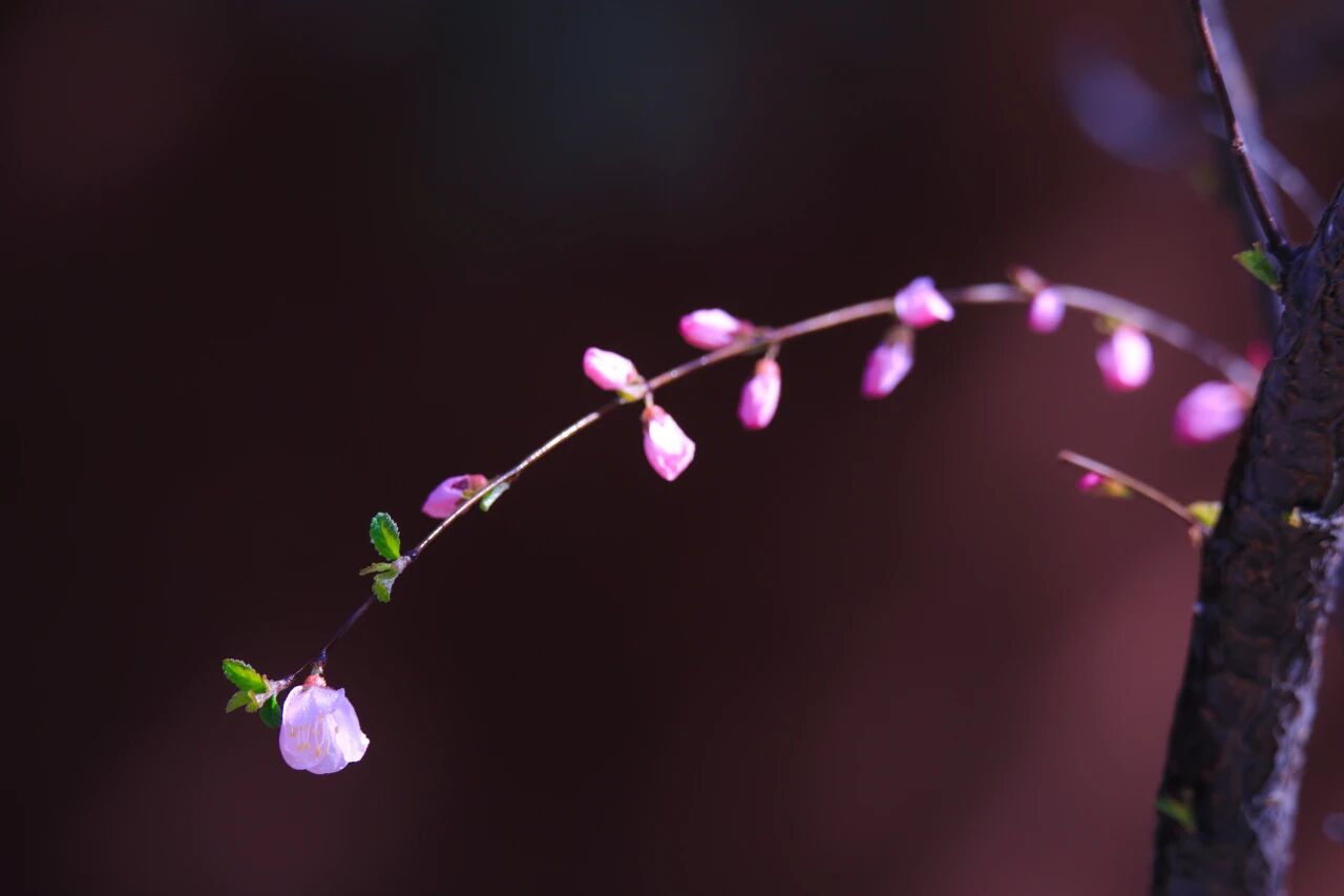 净慧长老：心空成佛