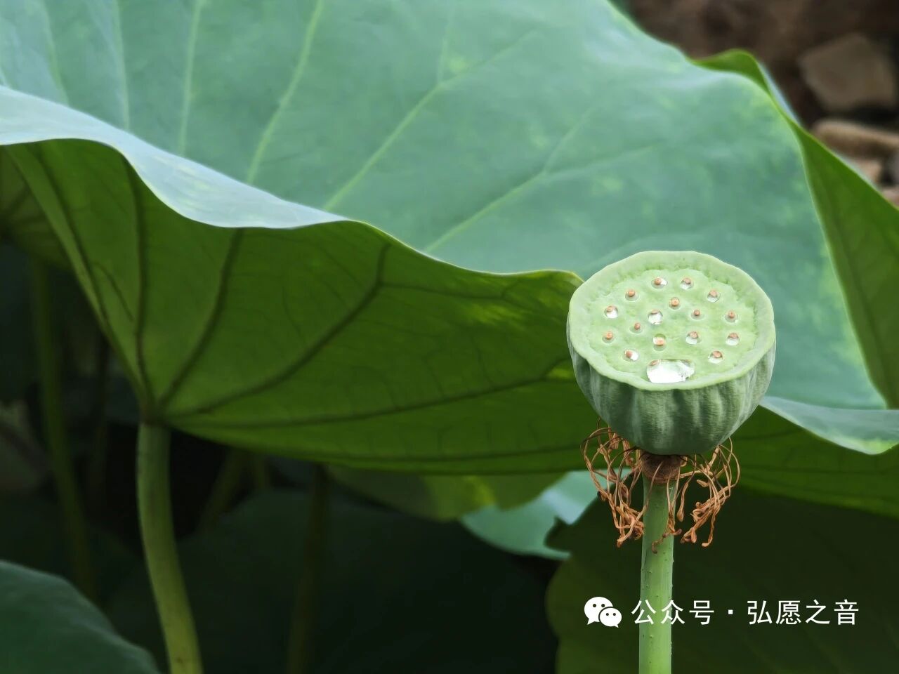 在生活中练习“入门级”忍辱