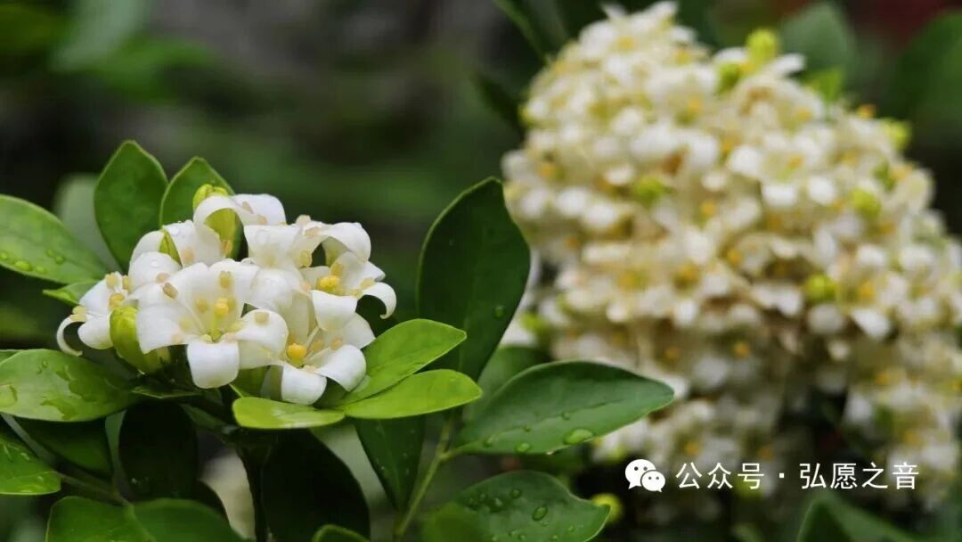 在生活中练习“入门级”忍辱