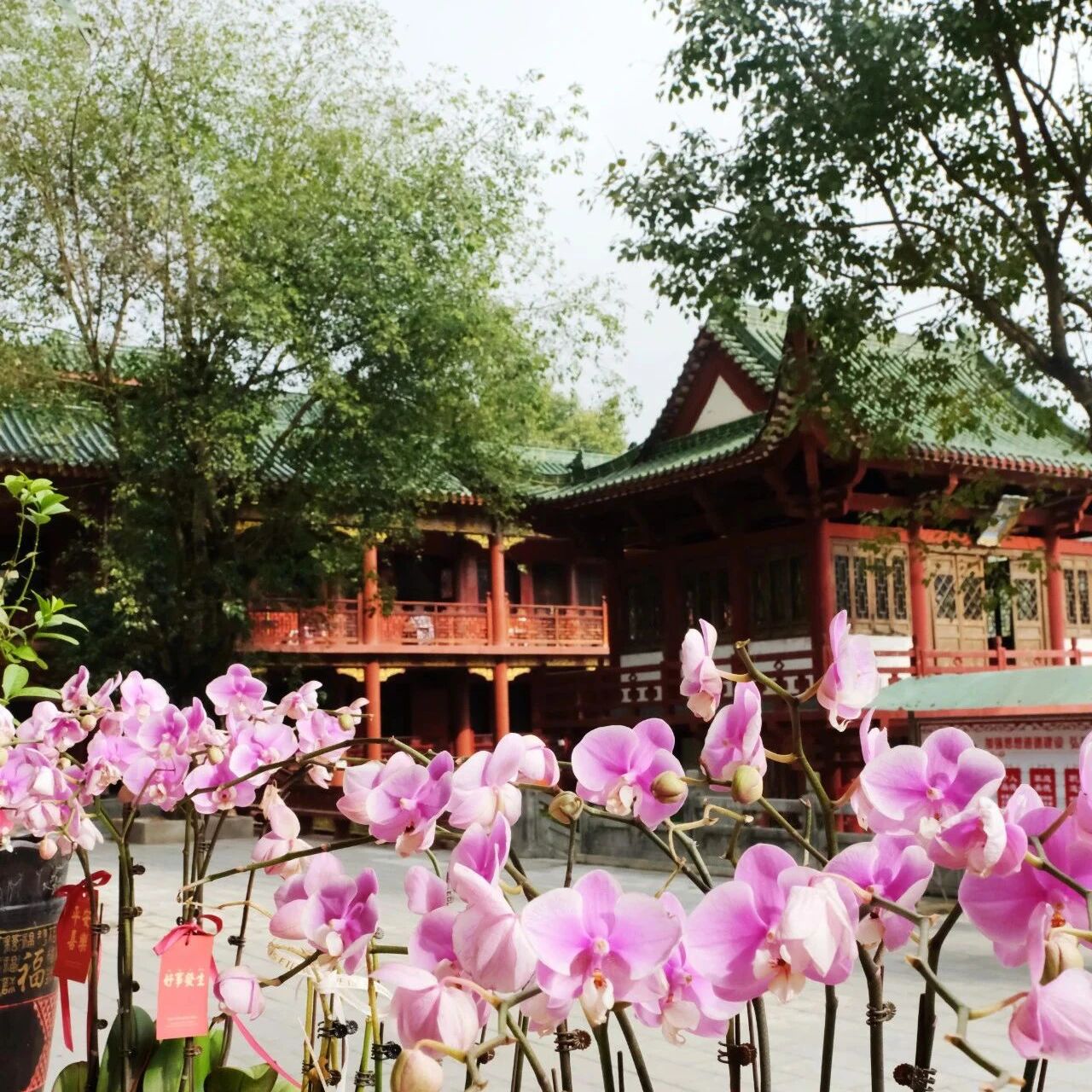 要让佛法从你的心里面流出来