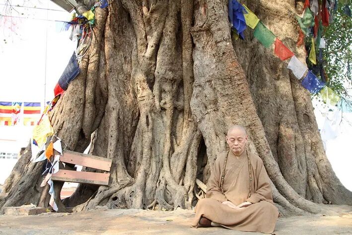 净慧长老：妄想的种类及其对治方法