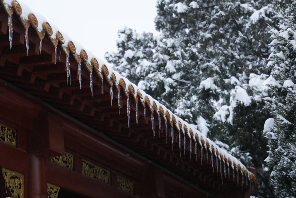 净慧长老：妄想的种类及其对治方法