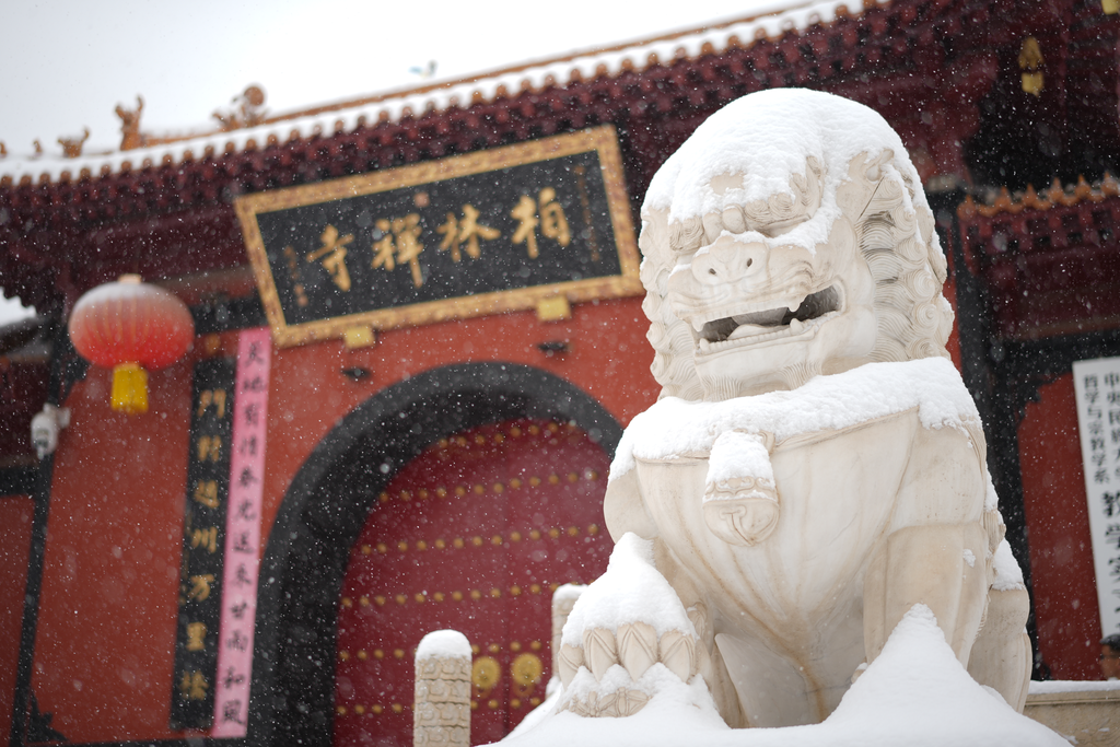 净慧长老：用心的诀窍