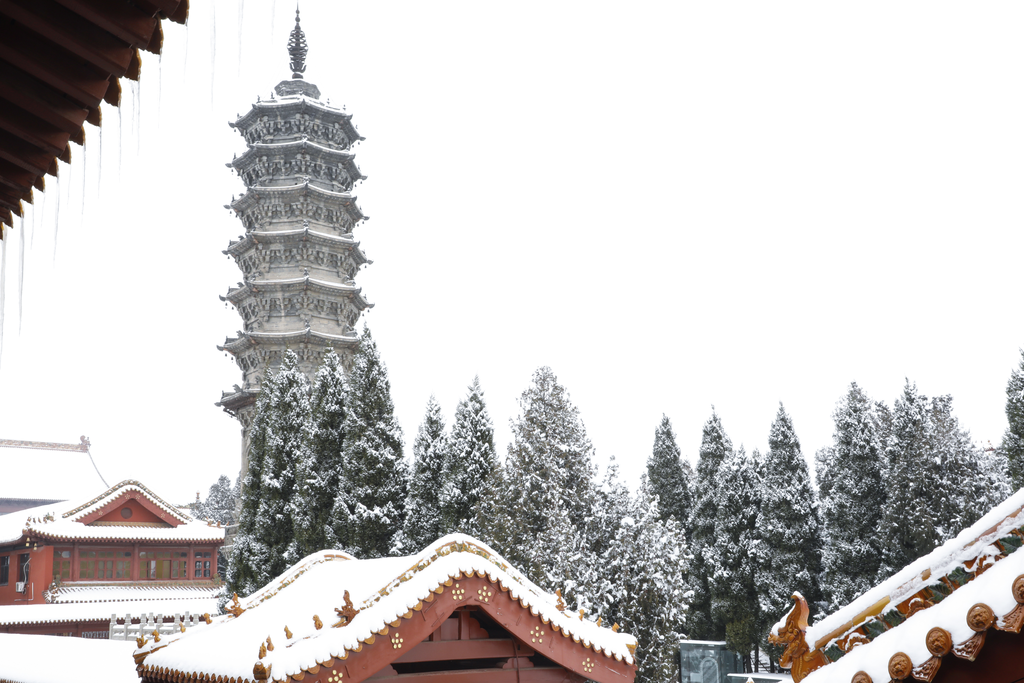 净慧长老：行亦禅