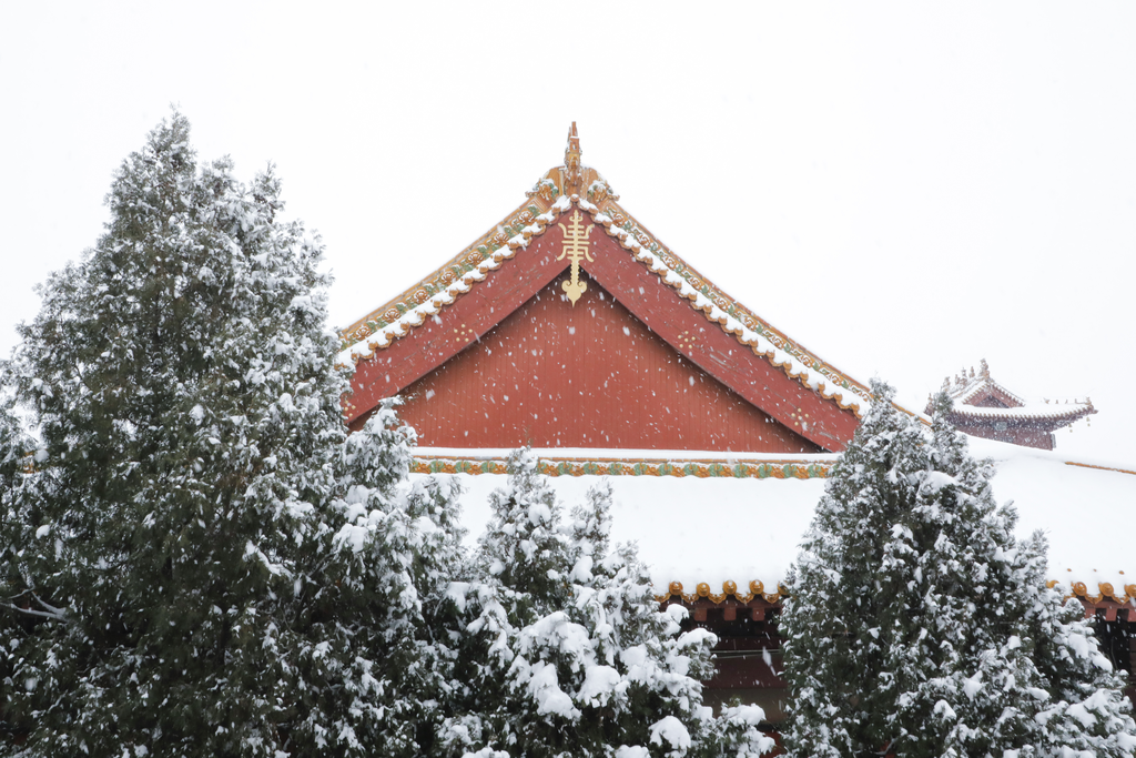 净慧长老：行亦禅